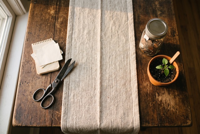 Scissors and paper slips beside a coin jar and a seedling