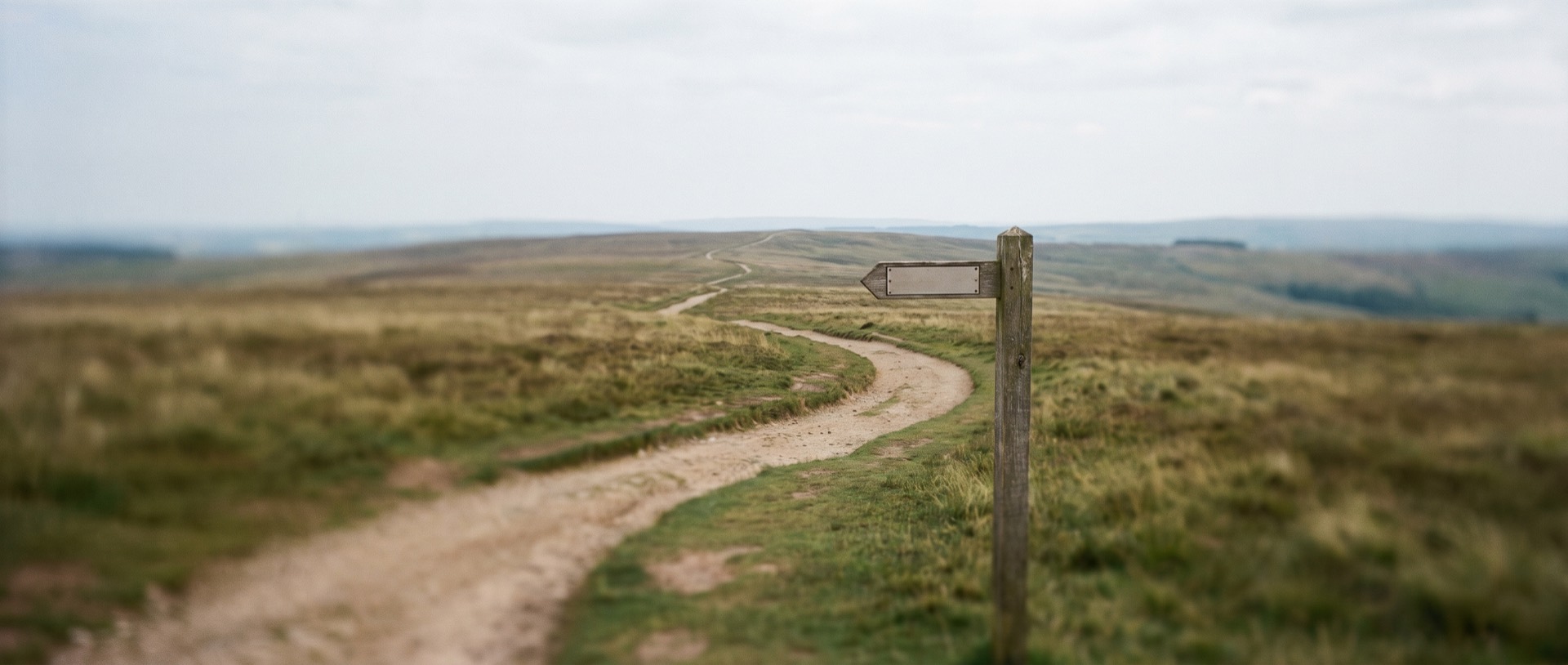 A footpath winding through a sunlit meadow