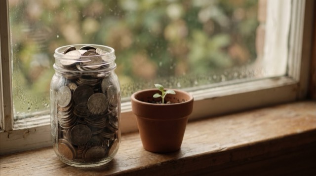 A jar of coins beside a seedling
