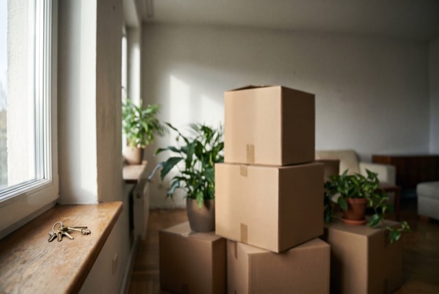 A sunlit apartment with moving boxes and keys